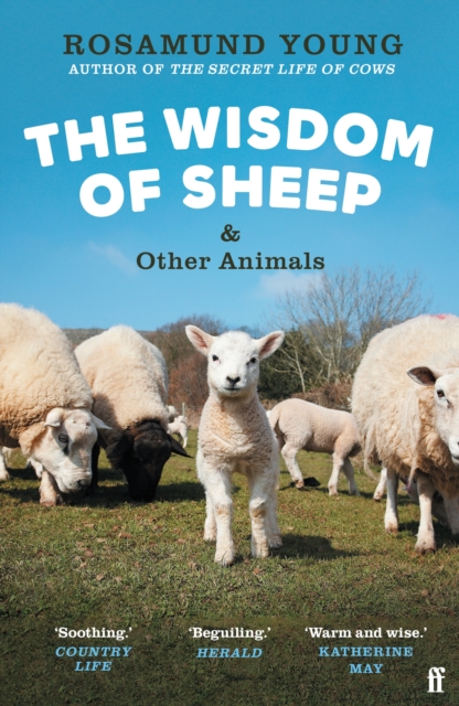 The Wisdom of Sheep & Other Animals : Observations from a Family Farm, Paperback / softback Book