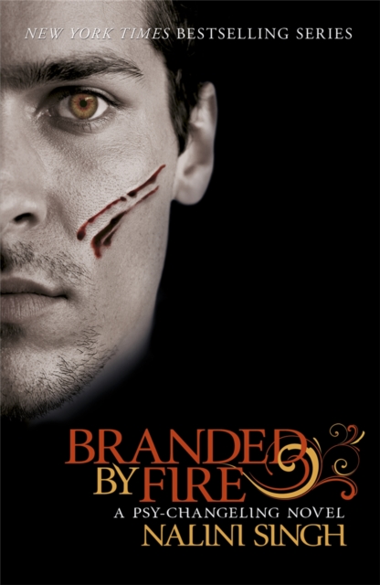 Branded by Fire : Book 6, Paperback / softback Book