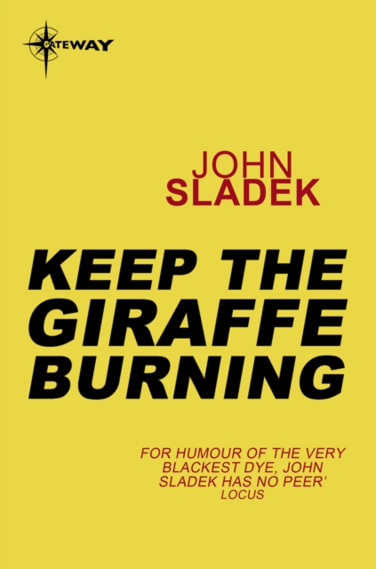 Keep The Giraffe Burning, EPUB eBook