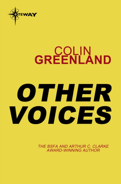 Other Voices, EPUB eBook