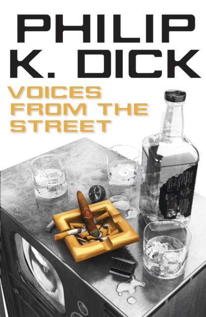 Voices from the Street, Paperback / softback Book