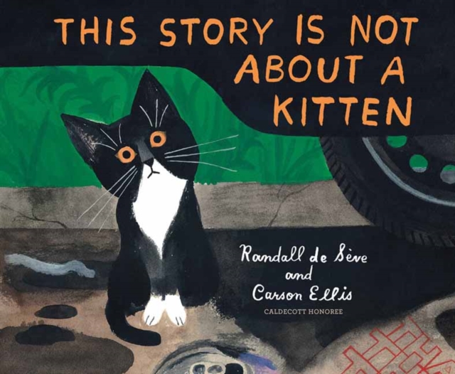This Story Is Not About a Kitten, Hardback Book
