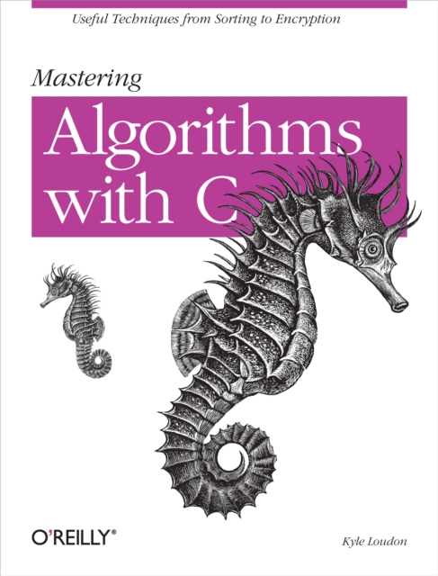Mastering Algorithms with C : Useful Techniques from Sorting to Encryption, EPUB eBook