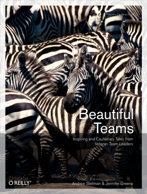 Beautiful Teams : Inspiring and Cautionary Tales from Veteran Team Leaders, EPUB eBook