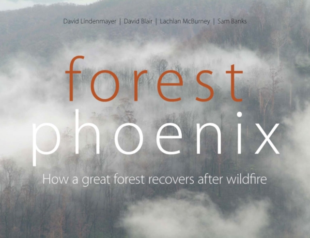 Forest Phoenix : How a Great Forest Recovers After Wildfire, PDF eBook