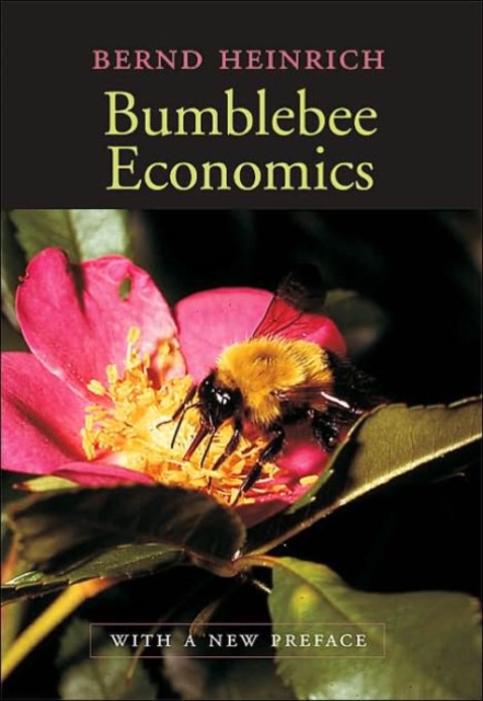 Bumblebee Economics : With a New Preface, Paperback / softback Book