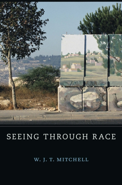 Seeing Through Race, EPUB eBook