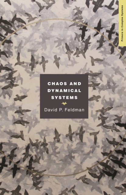 Chaos and Dynamical Systems, Paperback / softback Book