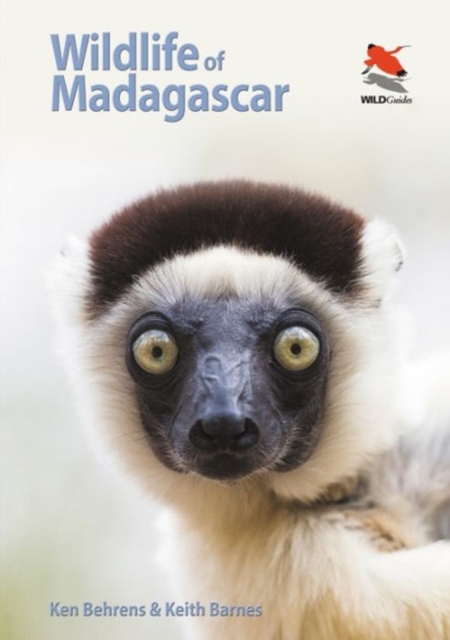 Wildlife of Madagascar, Paperback / softback Book