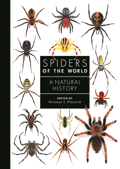 Spiders of the World : A Natural History, PDF eBook