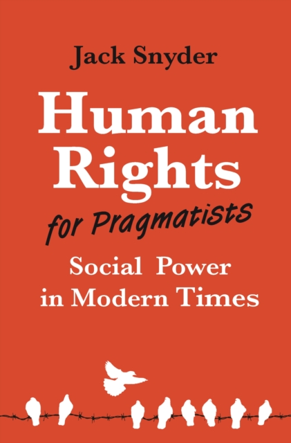 Human Rights for Pragmatists : Social Power in Modern Times, EPUB eBook