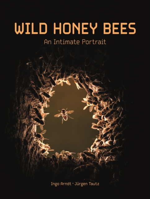 Wild Honey Bees : An Intimate Portrait, EPUB eBook