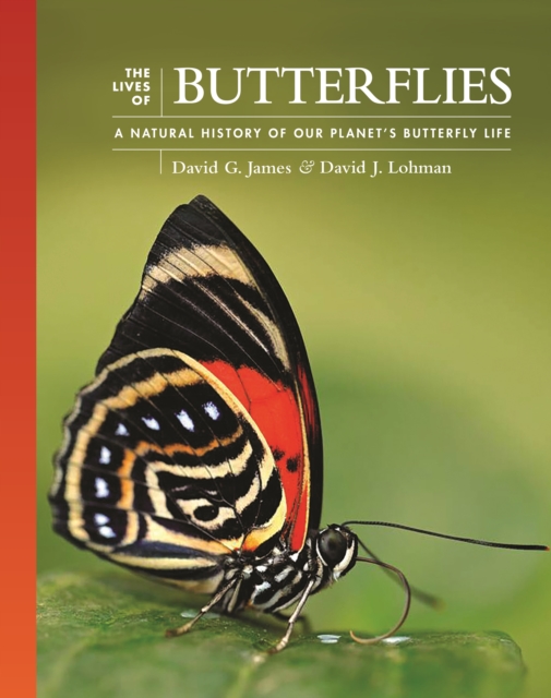 The Lives of Butterflies : A Natural History of Our Planet's Butterfly Life, PDF eBook