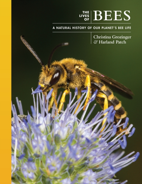 The Lives of Bees : A Natural History of Our Planet's Bee Life, Hardback Book