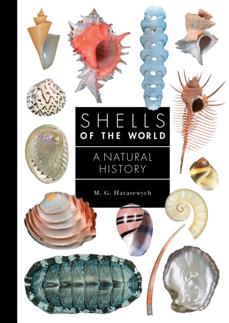 Shells of the World : A Natural History, Hardback Book