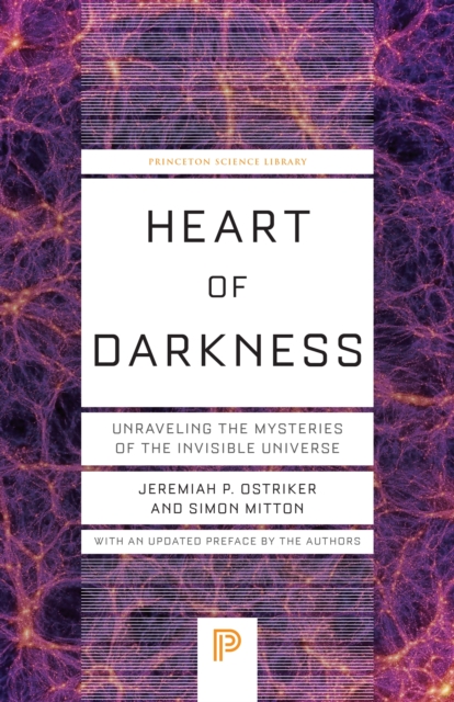 Heart of Darkness : Unraveling the Mysteries of the Invisible Universe, Paperback / softback Book
