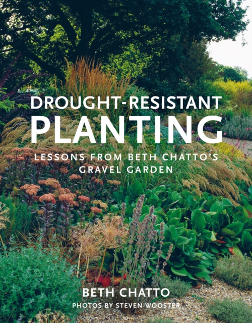 Drought-Resistant Planting : Lessons from Beth Chatto's Gravel Garden, Paperback / softback Book