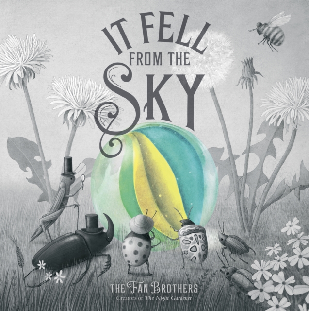 It Fell From The Sky, Paperback / softback Book