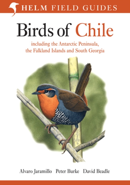 Birds of Chile, Paperback / softback Book