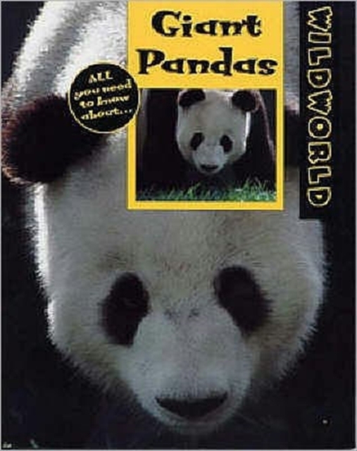 Giant Pandas, Paperback / softback Book