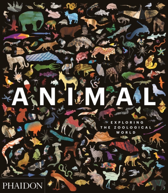 Animal : Exploring the Zoological World, Hardback Book