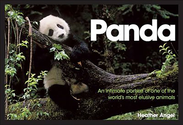 Panda : An Intimate Portrait Of One Of The World's Most Elusive Characters, EPUB eBook