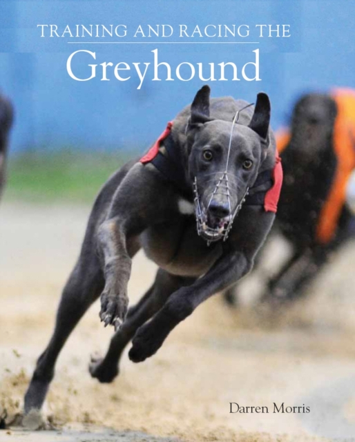 Training and Racing the Greyhound, Paperback / softback Book
