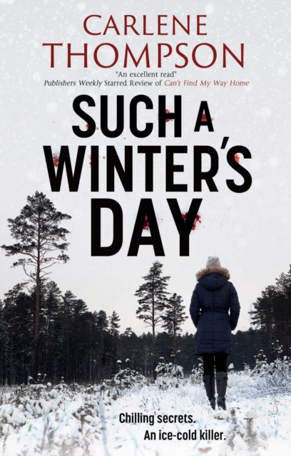 Such a Winter's Day, Hardback Book