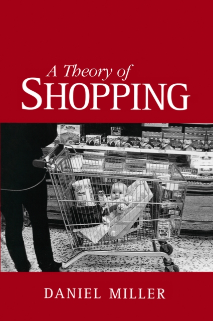 A Theory of Shopping, EPUB eBook