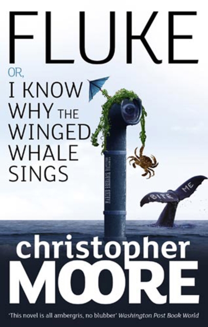 Fluke : Or, I Know Why the Winged Whale Sings, EPUB eBook