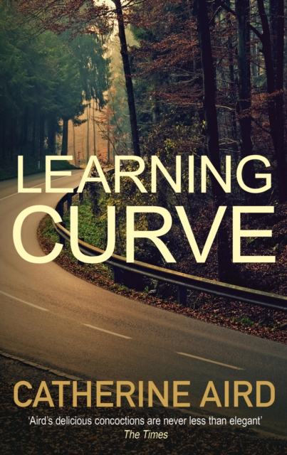 Learning Curve, EPUB eBook