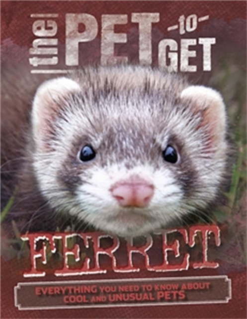 The Pet to Get: Ferret, Paperback / softback Book