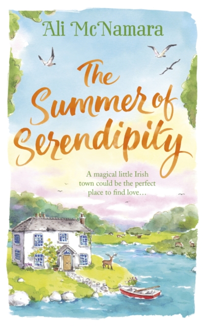The Summer of Serendipity : The magical feel good perfect holiday read, EPUB eBook