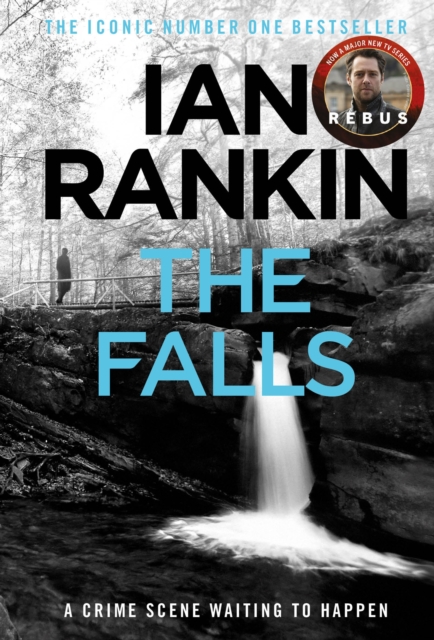 The Falls : From the iconic #1 bestselling author of A SONG FOR THE DARK TIMES, Paperback / softback Book