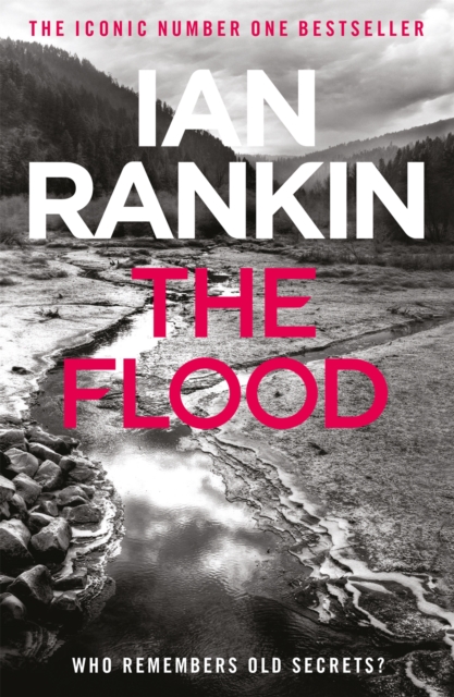 The Flood : From the iconic #1 bestselling author of A SONG FOR THE DARK TIMES, Paperback / softback Book