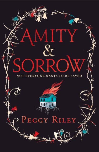 Amity & Sorrow, EPUB eBook