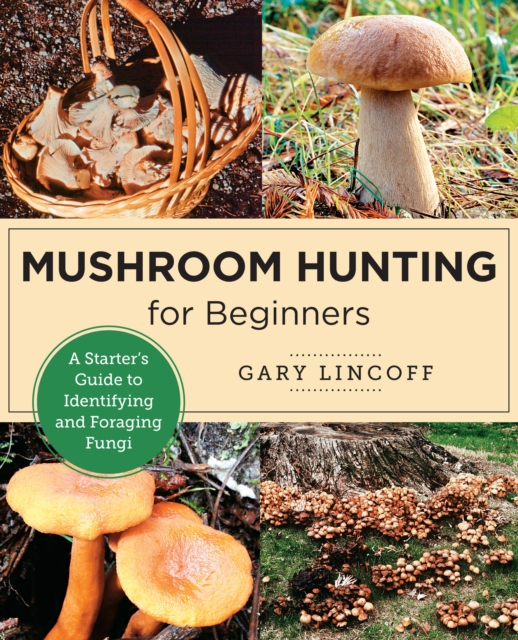 Mushroom Hunting for Beginners : A Starter's Guide to Identifying and Foraging Fungi, Paperback / softback Book