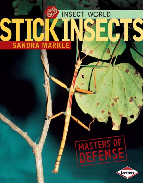 Stick Insects : Masters of Defense, PDF eBook