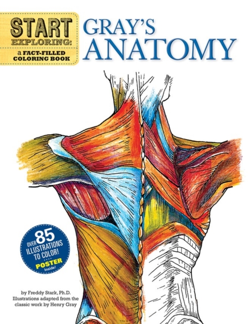 Start Exploring: Gray's Anatomy : A Fact-Filled Coloring Book, Paperback / softback Book