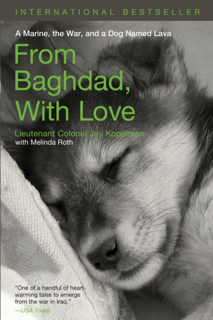 From Baghdad with Love : A Marine, the War, and a Dog Named Lava, EPUB eBook