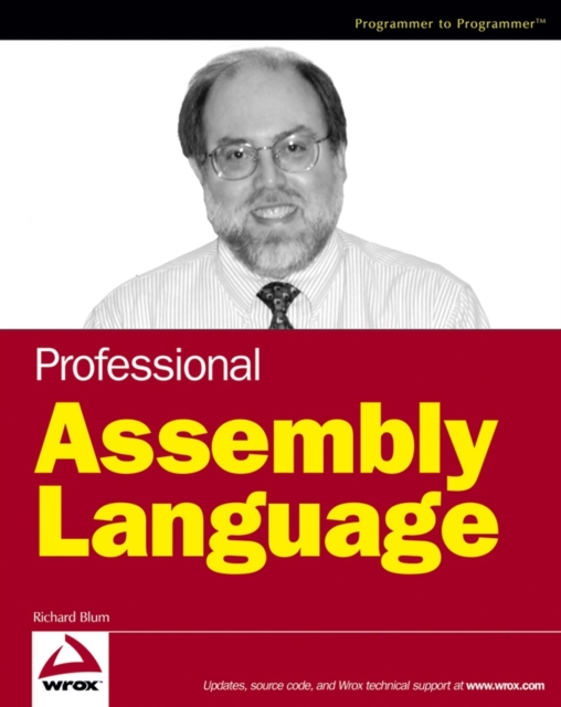 Professional Assembly Language, Paperback / softback Book