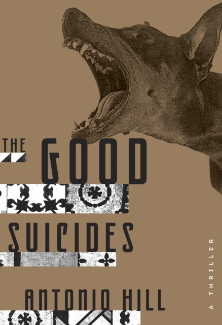 Good Suicides, EPUB eBook