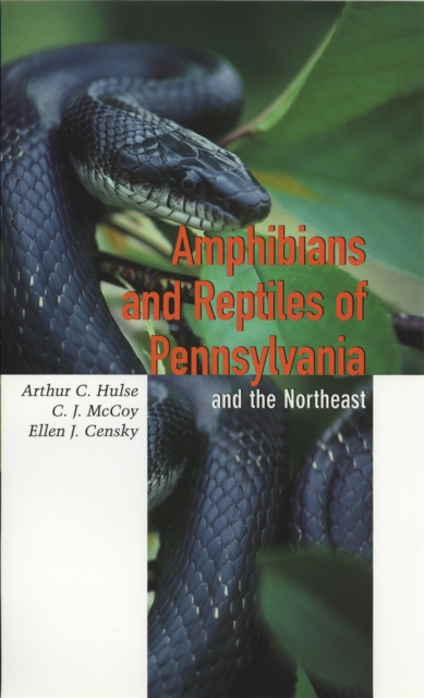 Amphibians and Reptiles of Pennsylvania and the Northeast, Hardback Book