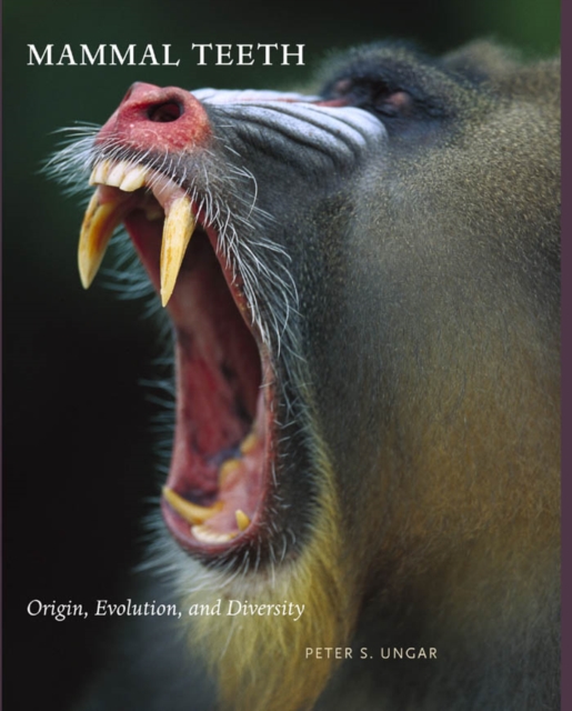 Mammal Teeth, EPUB eBook