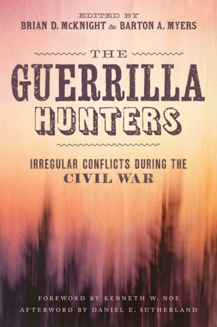 The Guerrilla Hunters : Irregular Conflicts during the Civil War, PDF eBook
