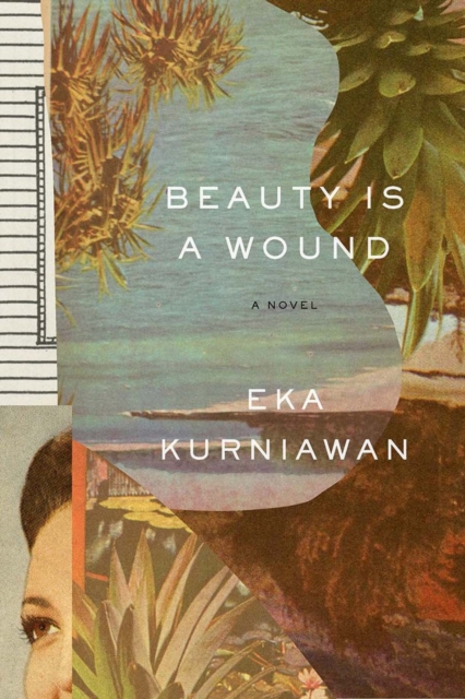 Beauty Is a Wound, Paperback / softback Book
