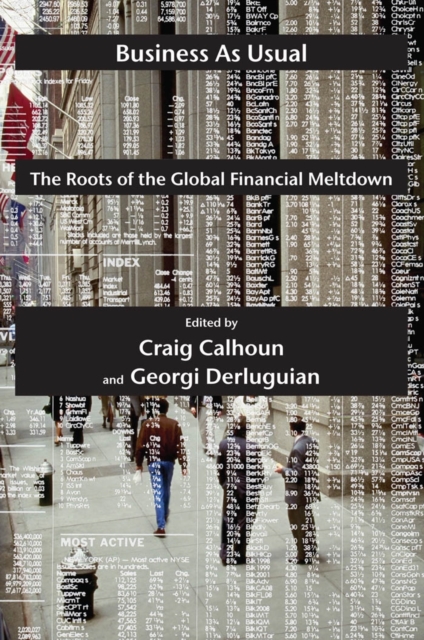Business as Usual : The Roots of the Global Financial Meltdown, EPUB eBook