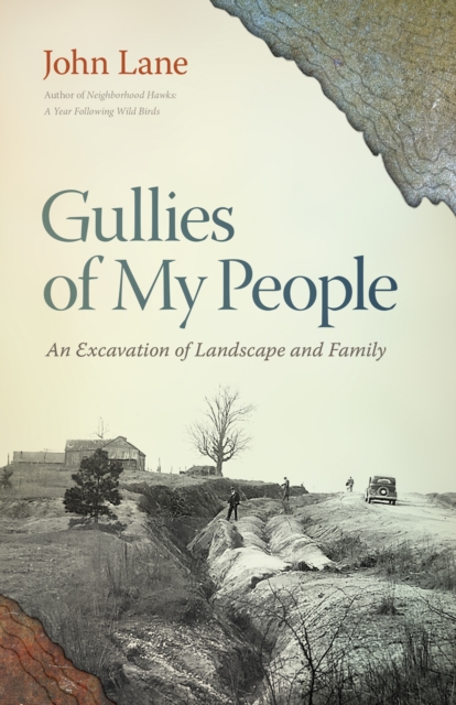 Gullies of My People : An Excavation of Landscape and Family, PDF eBook