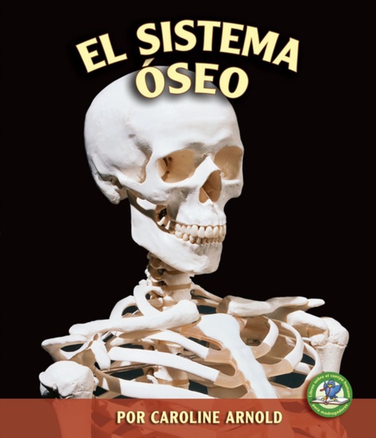 El sistema oseo (The Skeletal System), PDF eBook