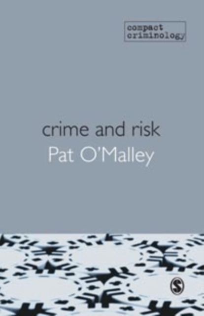 Crime and Risk, PDF eBook